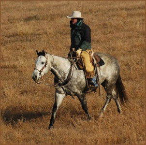 Barry Clemens - Beaver Creek Ranch